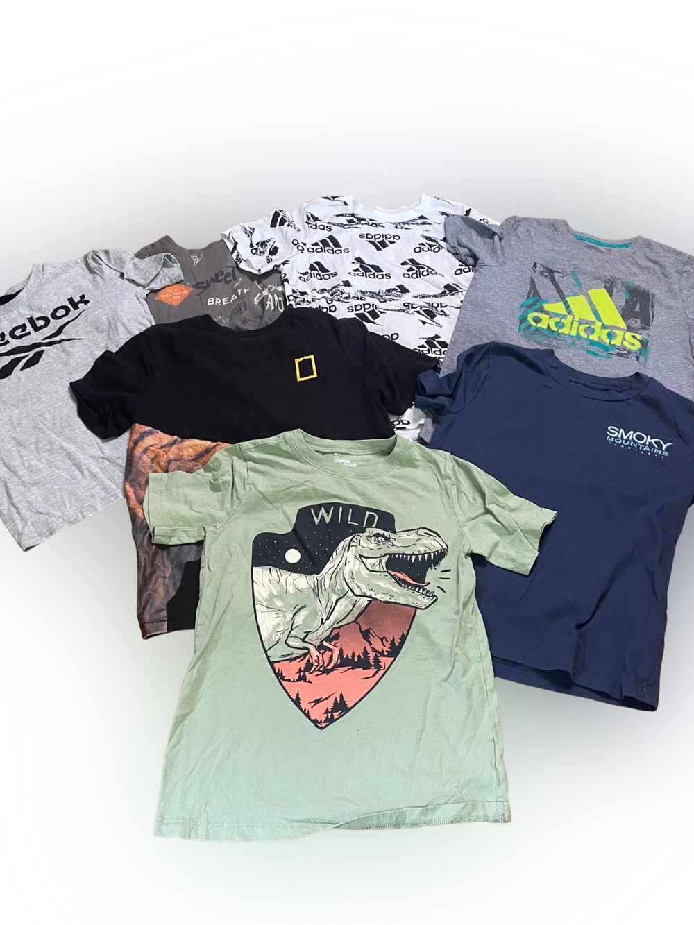 Boys Medium (8) Shirt Bundle | 10 Pieces | Adidas, Gap, Abercrombie Kids & More